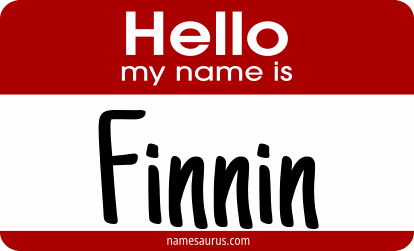 Hello my name is Finnin png download