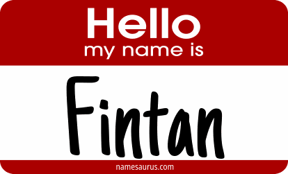 Hello my name is Fintan png download