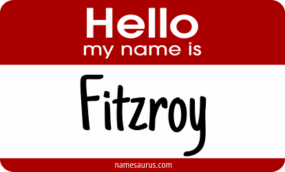 Hello my name is Fitzroy png download