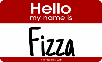Hello my name is Fizza png download