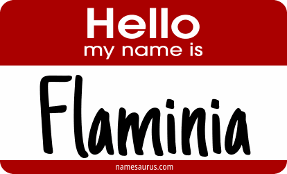 Hello my name is Flaminia png download