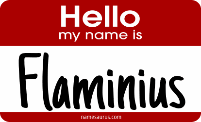 Hello my name is Flaminius png download
