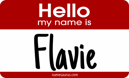 Hello my name is Flavie png download