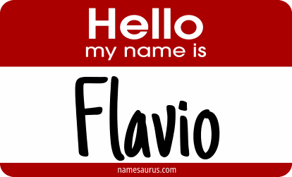 Hello my name is Flavio png download