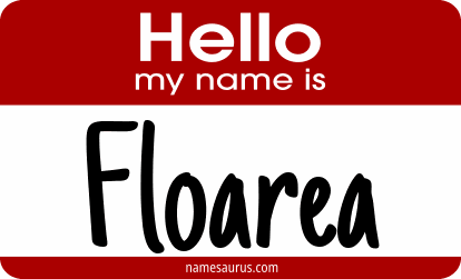 Hello my name is Floarea png download