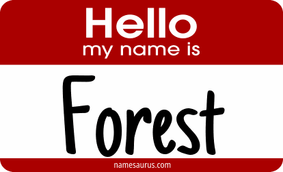 Hello my name is Forest png download