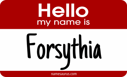 Hello my name is Forsythia png download