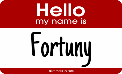 Hello my name is Fortuny png download