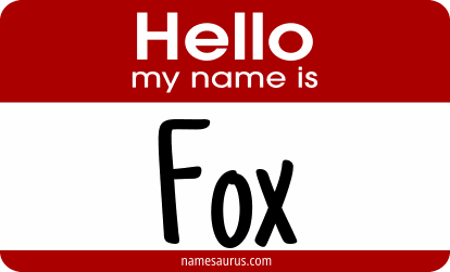 Hello my name is Fox png download