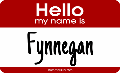 Hello my name is Fynnegan png download
