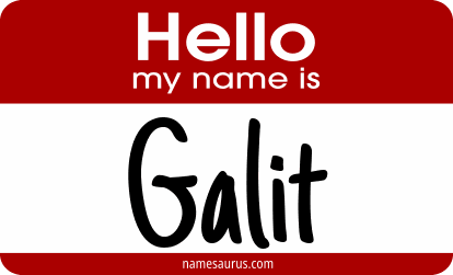 Hello my name is Galit png download