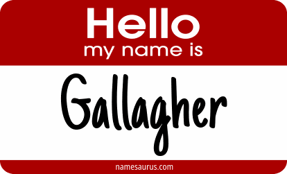 Hello my name is Gallagher png download