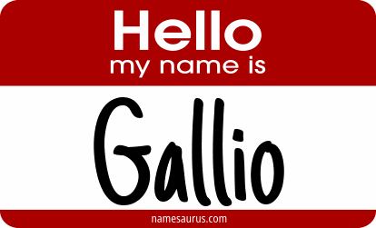 Hello my name is Gallio png download