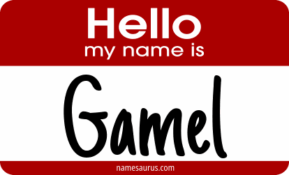 Hello my name is Gamel png download
