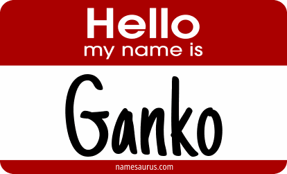 Hello my name is Ganko png download
