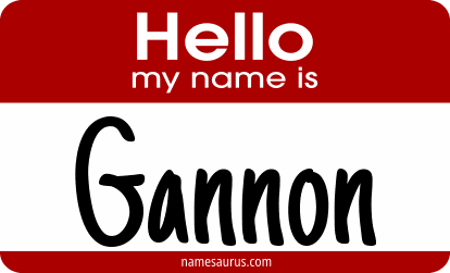 Hello my name is Gannon png download