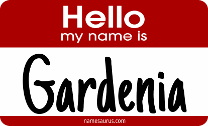 Hello my name is Gardenia png download