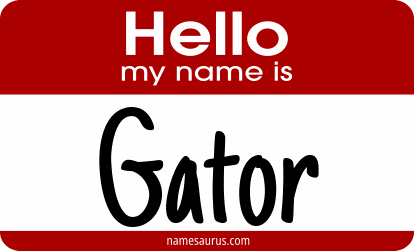 Hello my name is Gator png download