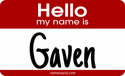 Hello my name is Gaven png download