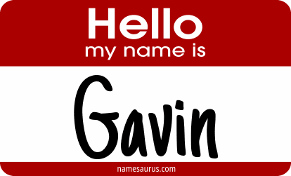 Hello my name is Gavin png download