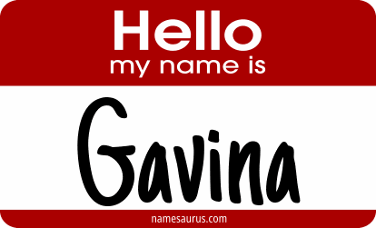 Hello my name is Gavina png download