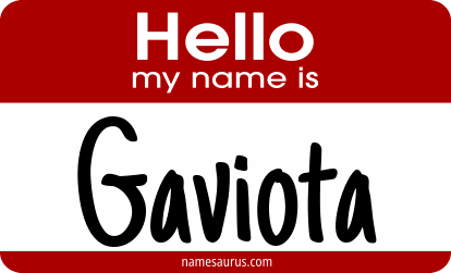 Hello my name is Gaviota png download