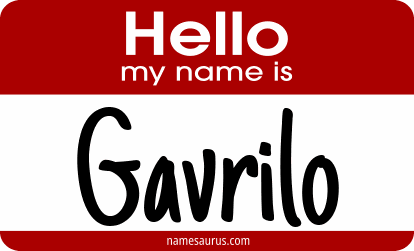 Hello my name is Gavrilo png download