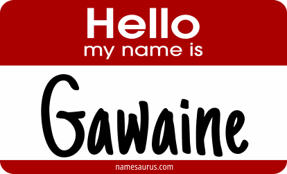 Hello my name is Gawaine png download