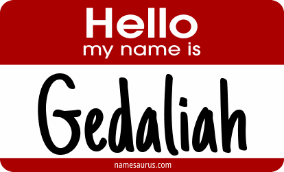 Hello my name is Gedaliah png download
