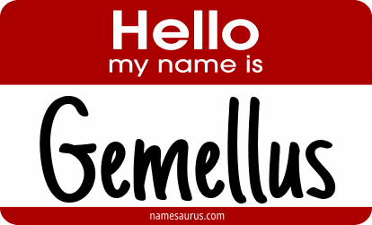 Hello my name is Gemellus png download