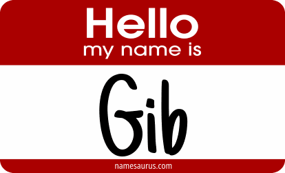 Hello my name is Gib png download