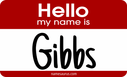 Hello my name is Gibbs png download