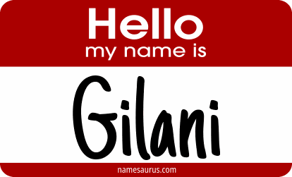 Hello my name is Gilani png download