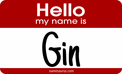 Hello my name is Gin png download