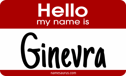 Hello my name is Ginevra png download
