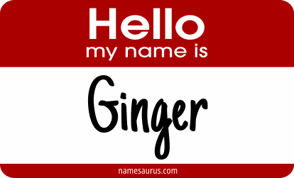 Hello my name is Ginger png download