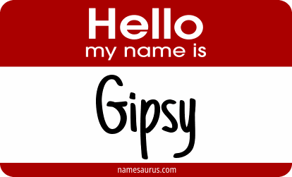 Hello my name is Gipsy png download