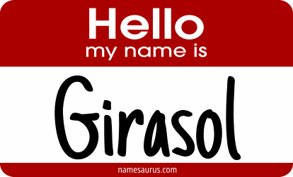 Hello my name is Girasol png download
