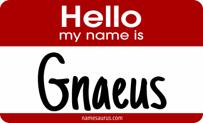 Hello my name is Gnaeus png download