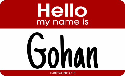 Hello my name is Gohan png download