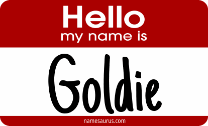 Hello my name is Goldie png download
