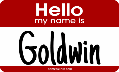 Hello my name is Goldwin png download