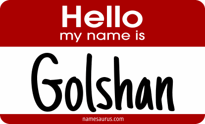 Hello my name is Golshan png download