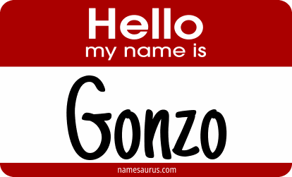 Hello my name is Gonzo png download