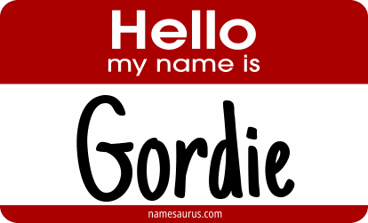 Hello my name is Gordie png download