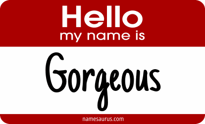 Hello my name is Gorgeous png download