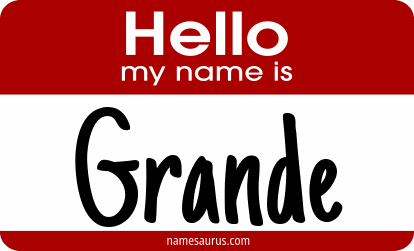 Hello my name is Grande png download