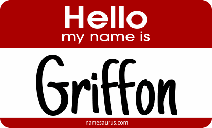 Hello my name is Griffon png download