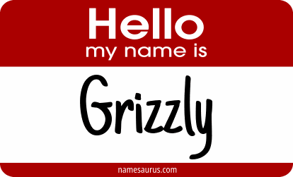 Hello my name is Grizzly png download