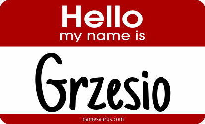 Hello my name is Grzesio png download